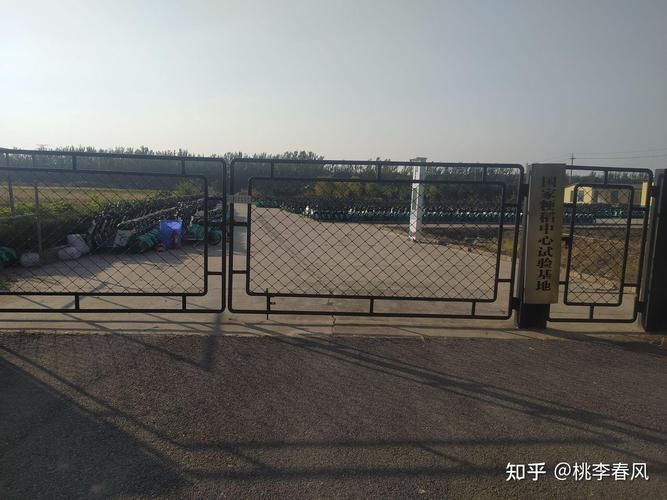 市南区疫情观察：滨海城区如何构筑防疫屏障？