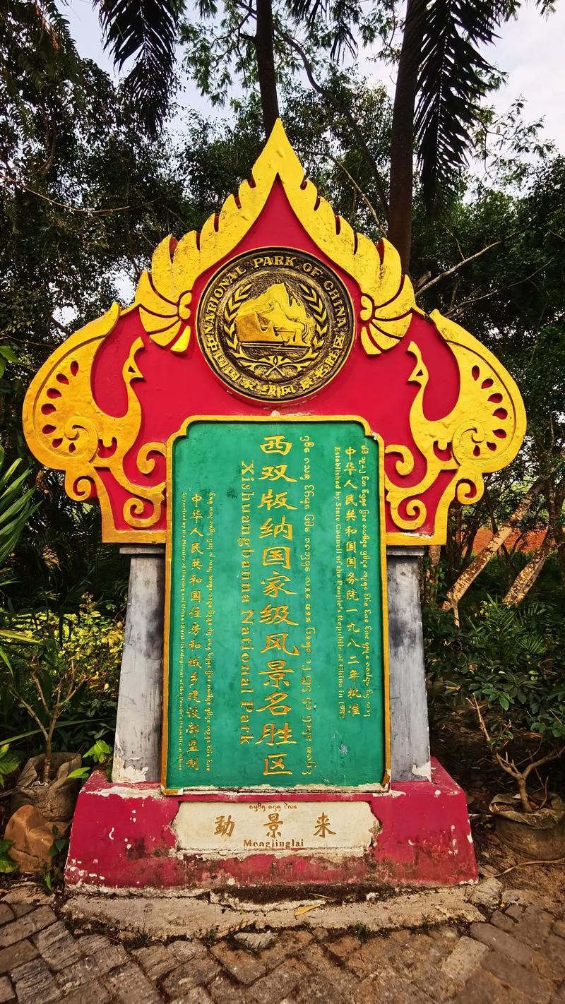 勐腊：边境雨林屏障下的零感染坚守_79564