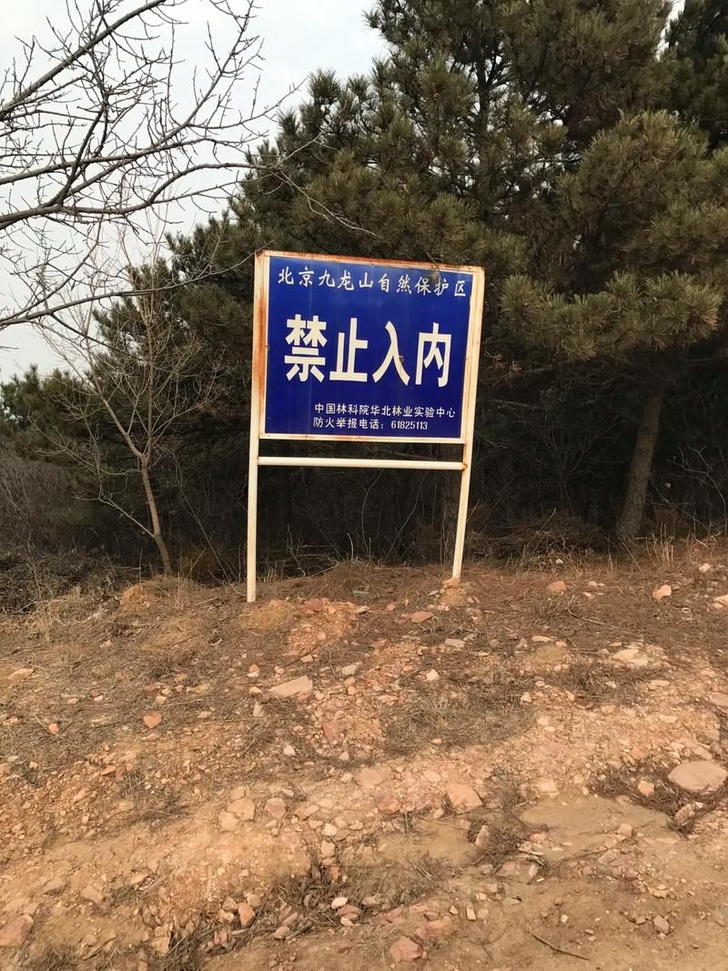 【龙游县：衢江腹地的零感染坚守与地理屏障】