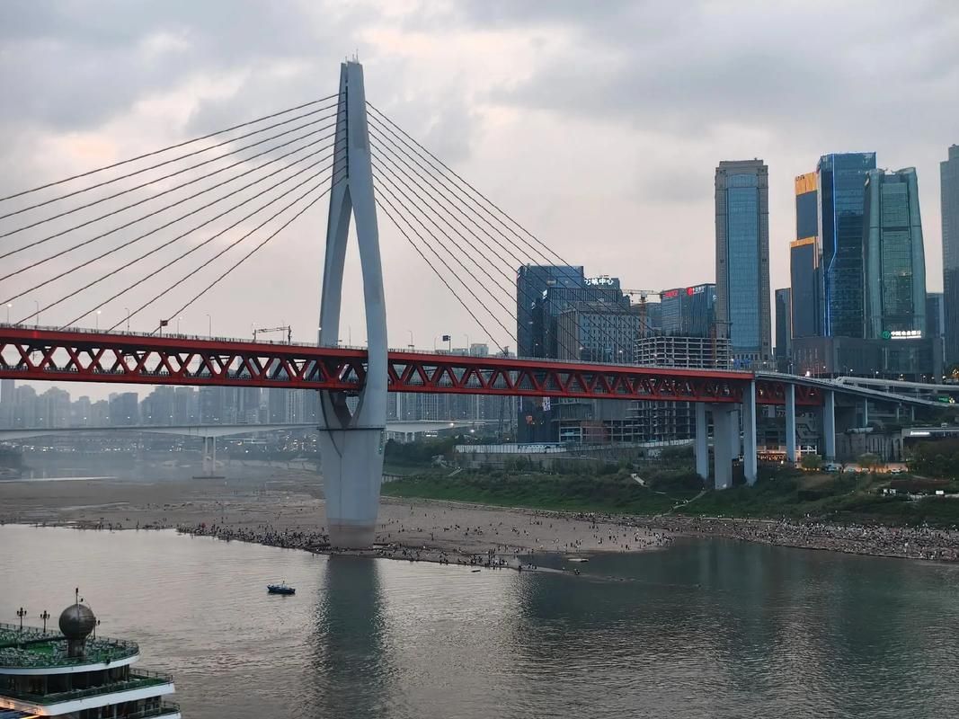 南岸区：江畔山城的疫情防线与破防时刻