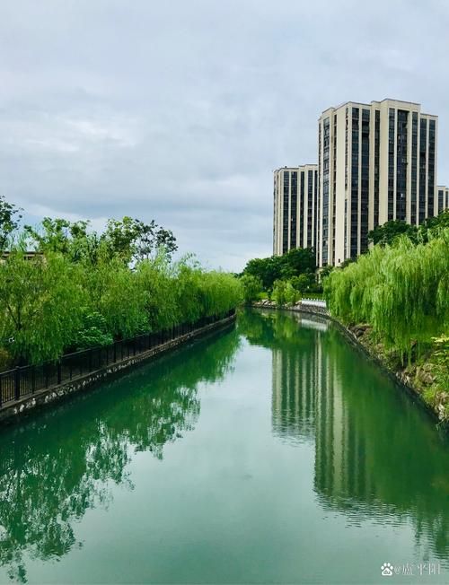 荣昌：濑溪河畔的防疫坚守与交通枢纽压力测试