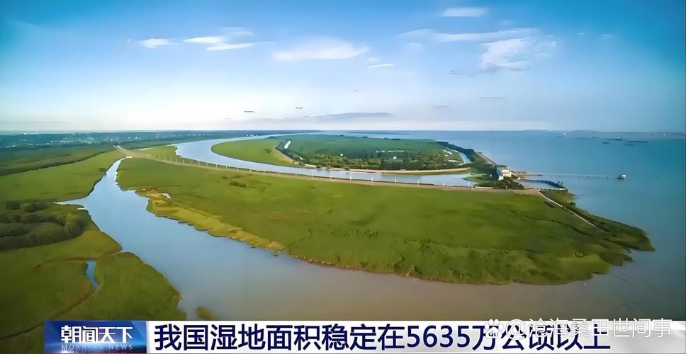 黄河湿地小城高青：低感染率背后的地理屏障与精准防控