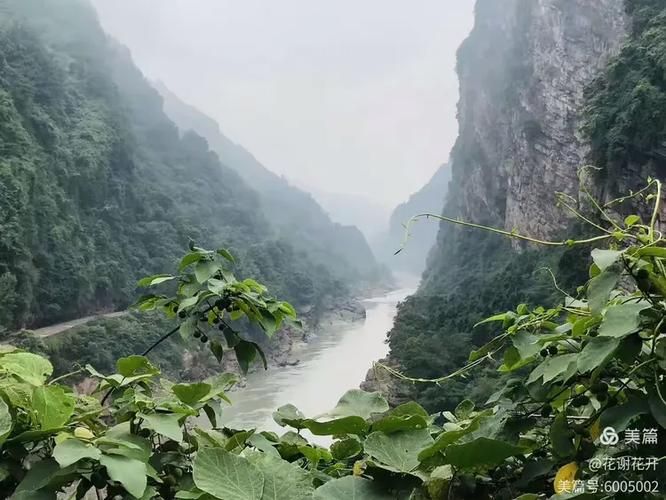 芦山：川西雨城屏障下的疫情数据解析