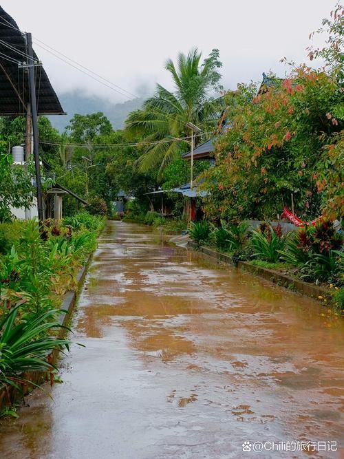 勐腊：热带雨林屏障下的边境防疫样本_35681