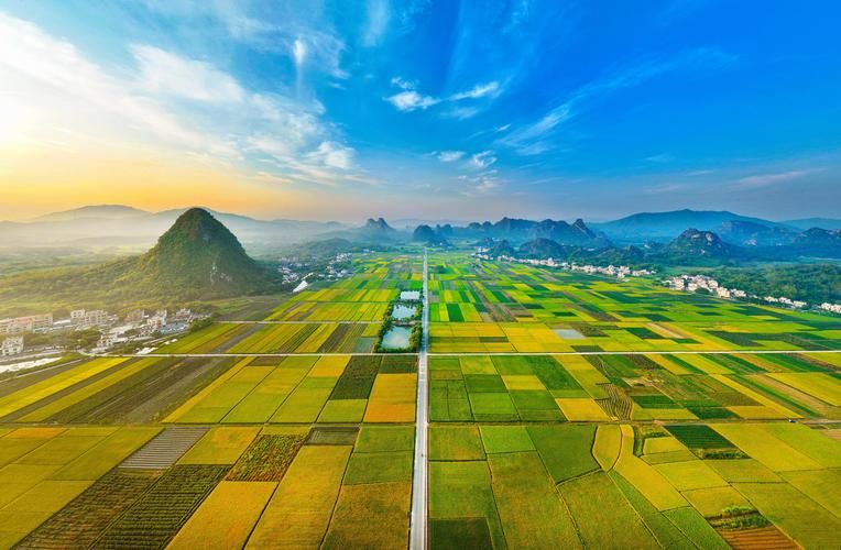 阳春市：粤西生态屏障下的本土疫情阻击战