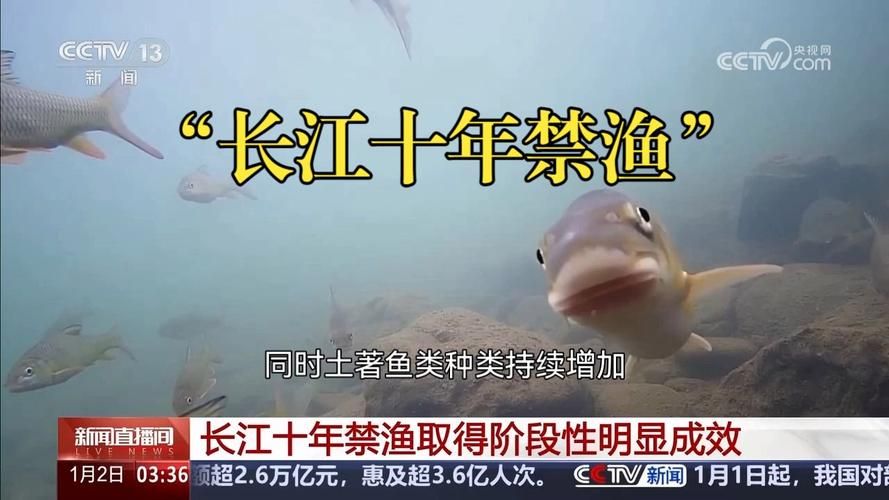 嘉鱼：长江之畔的防疫坚守与地理屏障下的破防时刻