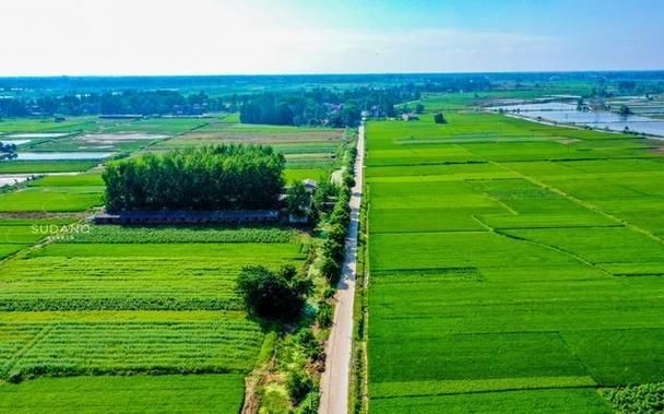 钟祥：江汉平原腹地的防疫坚守与挑战