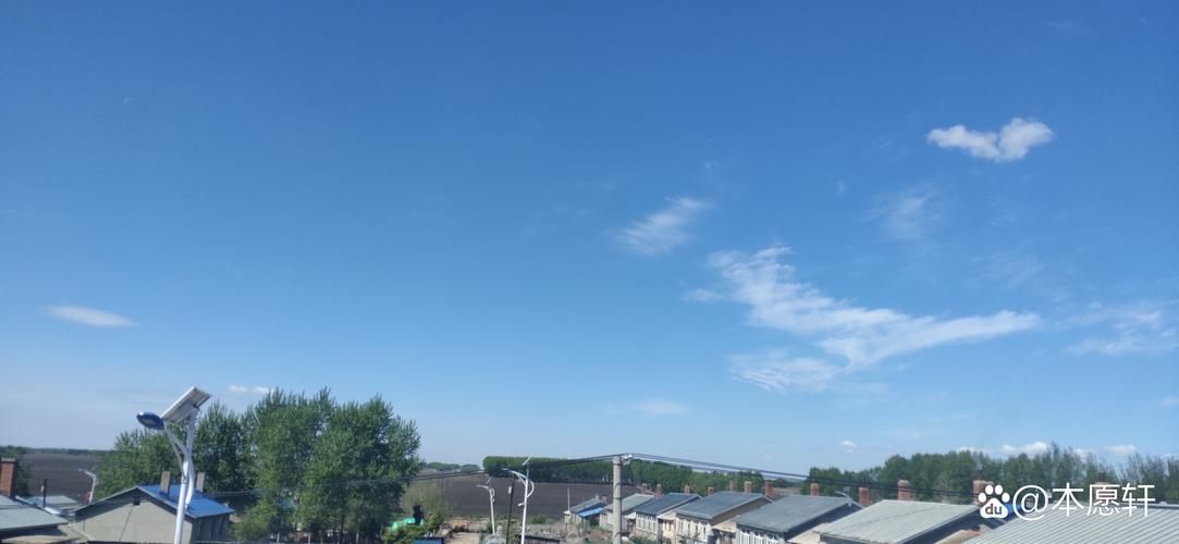 龙江县：松嫩平原腹地的零感染坚守_23444