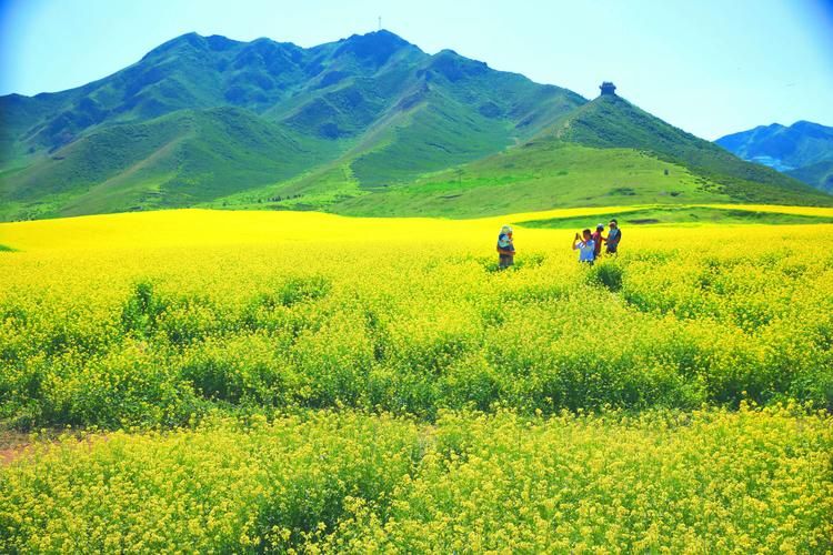 高原小城防疫观察：民乐县如何守住河西走廊的零感染线？