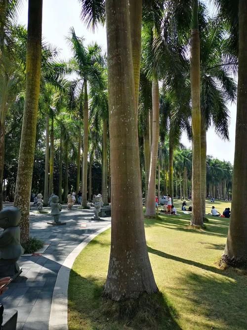 青秀区：绿城核心区如何应对疫情输入压力？