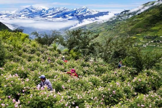 小金：高原门户的防疫拉锯战