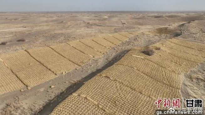金塔绿洲的静默屏障：戈壁腹地如何守住零感染防线