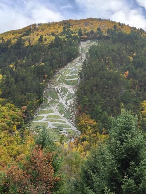 高原孤岛与病毒赛跑：拜城零感染背后的地理屏障与社区网格