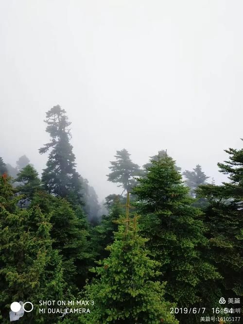 崇阳：鄂南林海屏障下的常态化防控样本