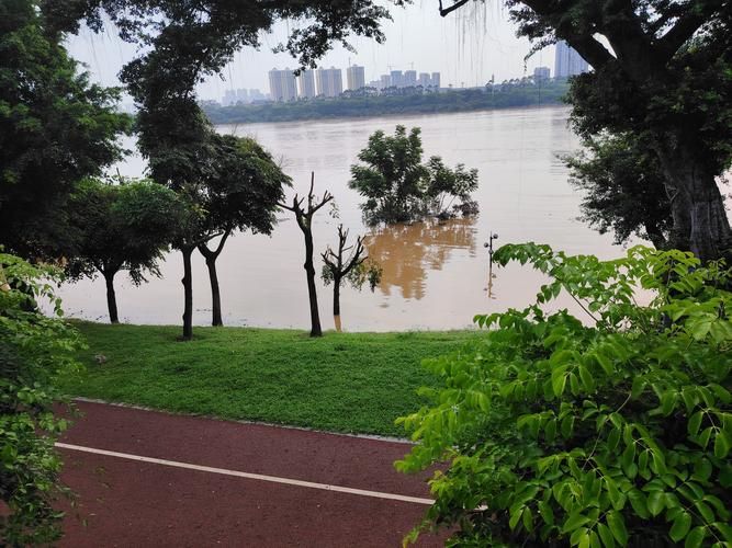 巴南：长江南岸丘陵地形下的疫情防波堤