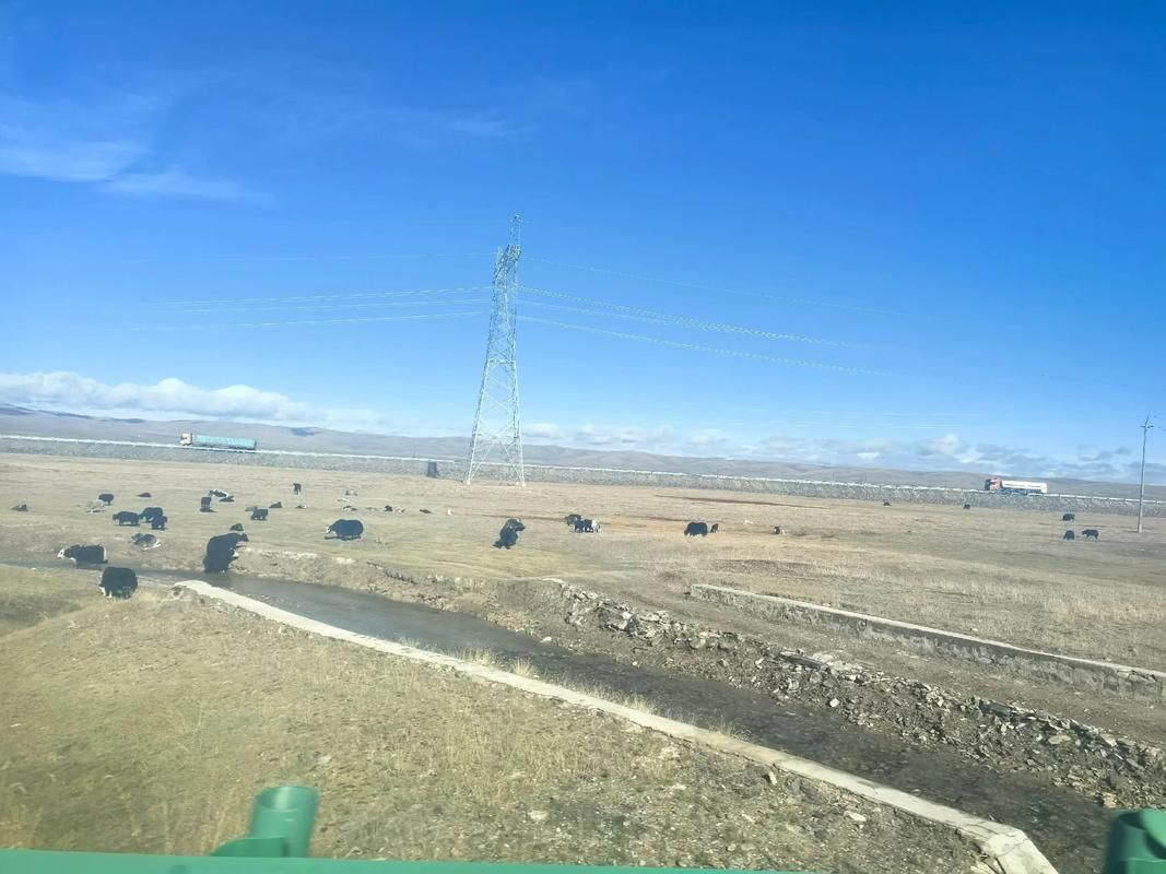 高原屏障下的零感染坚守：玛多县防疫地理优势解析_72063