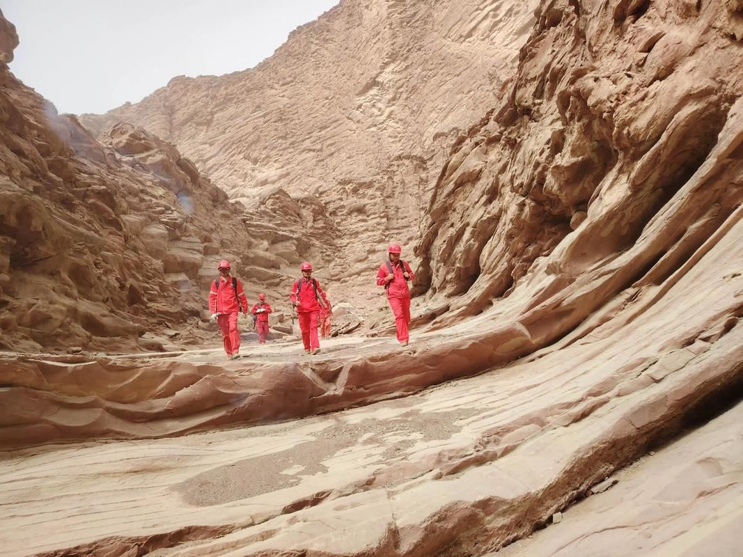 【大同县疫情观察：黄土高原腹地的防控挑战与地理屏障】