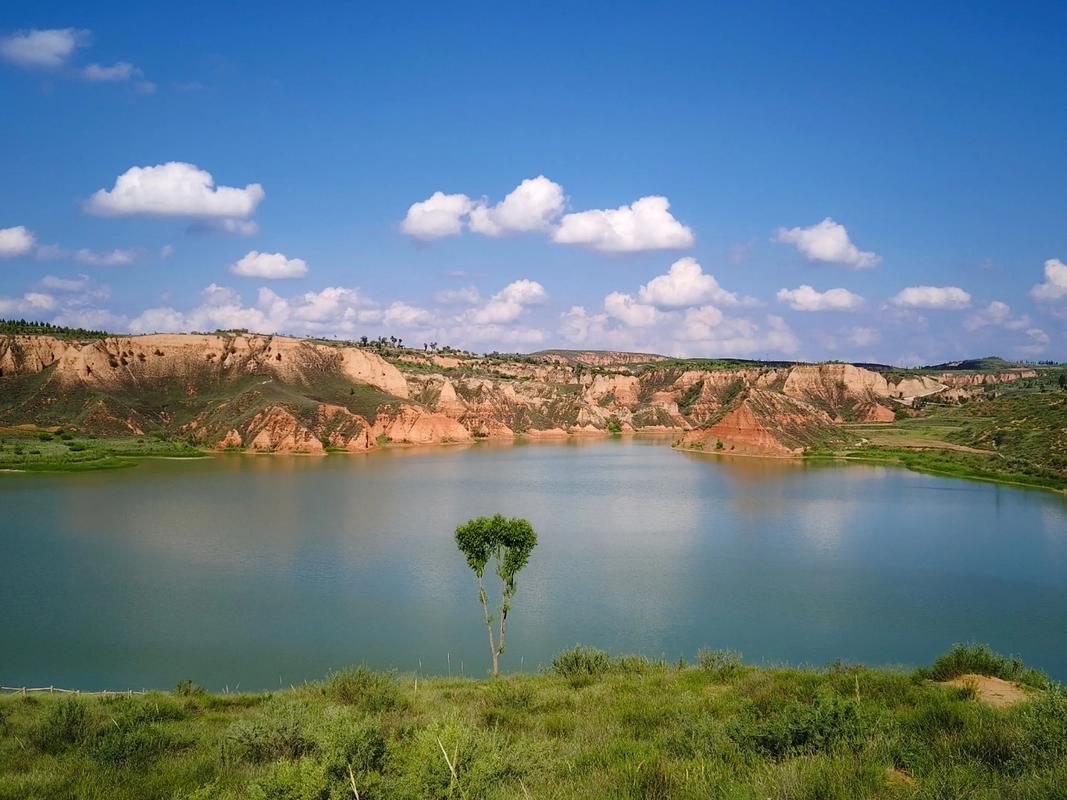 清涧：黄土高原沟壑间的疫情防波堤