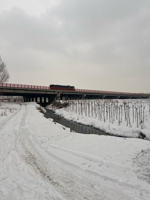 太康县：豫东平原交通枢纽的疫情阻击战_79818