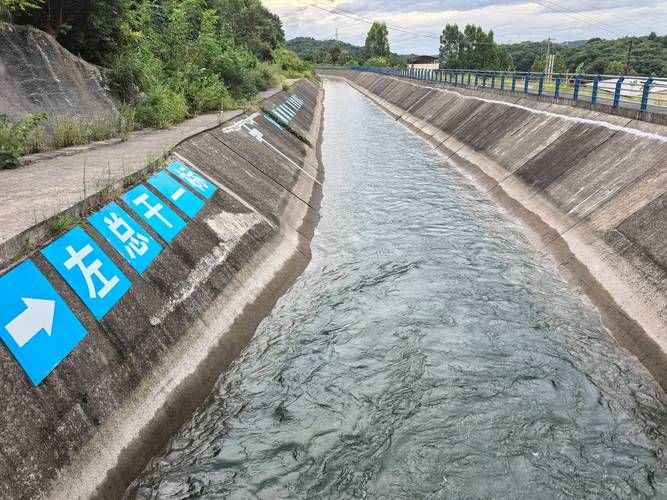 宝应县：水网密布下的疫情防线与破防时刻