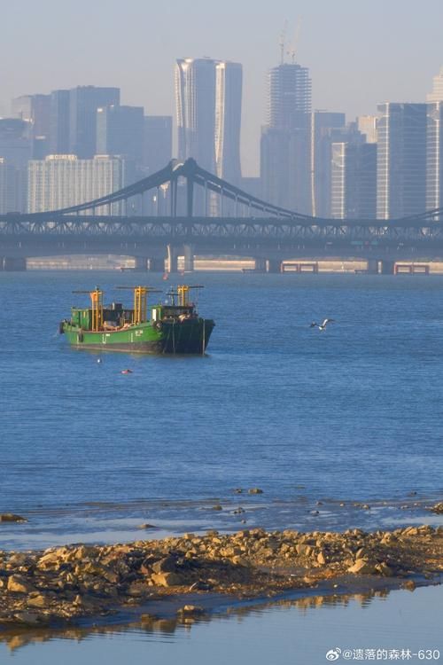 滨江：钱塘江畔的防疫阵地与流动防线