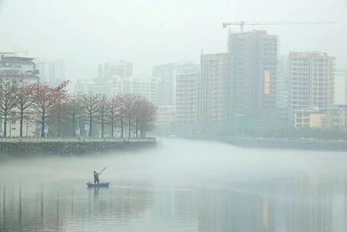 新丰疫情透视：粤北山城屏障下的防控挑战