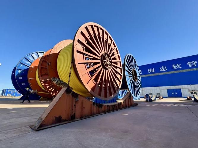 无棣：渤海湾畔的零感染坚守，地理屏障如何筑起防疫长城？_56821