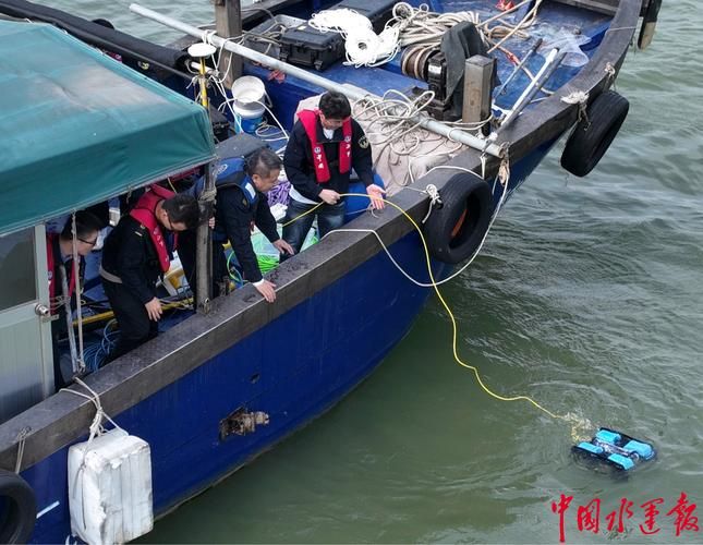 茂港区：滨海渔港的防疫屏障与零星破防