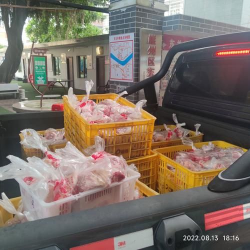 【2022年8月5日三亚新增确诊病例情况_49807】