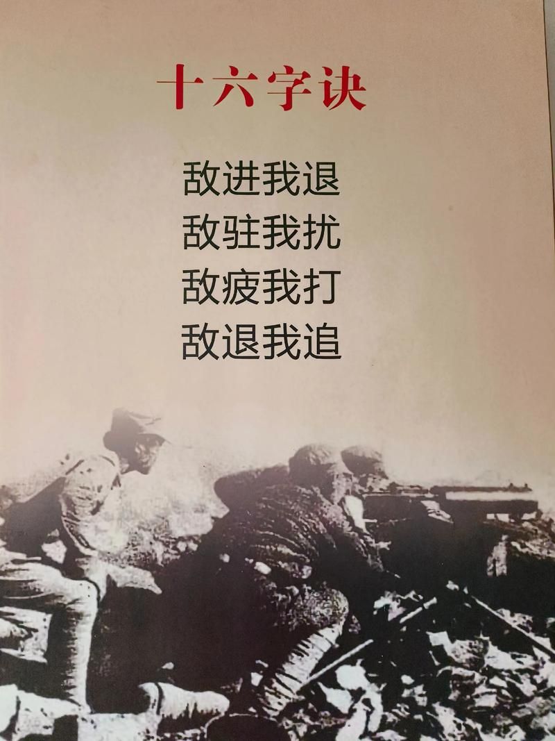 邱县：华北粮仓腹地的零感染坚守与物理防线
