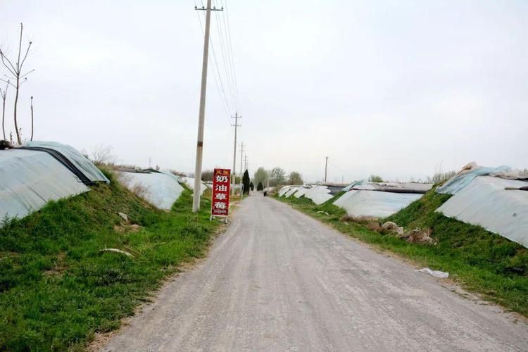 河津新增1例无症状感染者  河津市疫情防控最新通报_15541