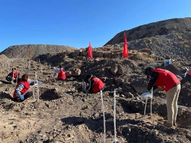 石嘴山：贺兰山屏障下的零感染坚守