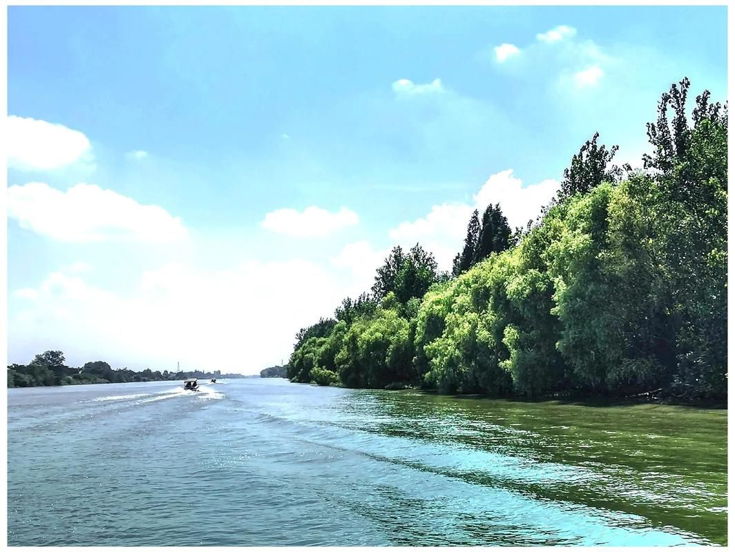 洪湖：江汉平原水网中的疫情阻隔战_11821