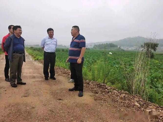 【铅山疫情：武夷屏障下的防控破口与地理溯源】