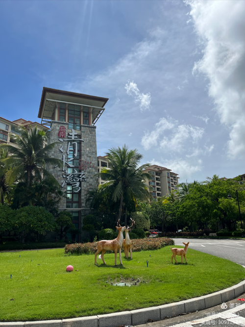 陵水黎族自治县：热带滨海度假区的防疫平衡术_18703