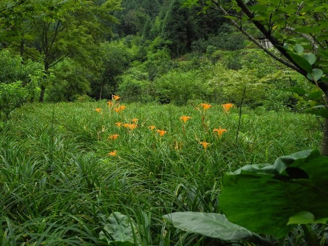 大余：赣南山区屏障下的低感染样本