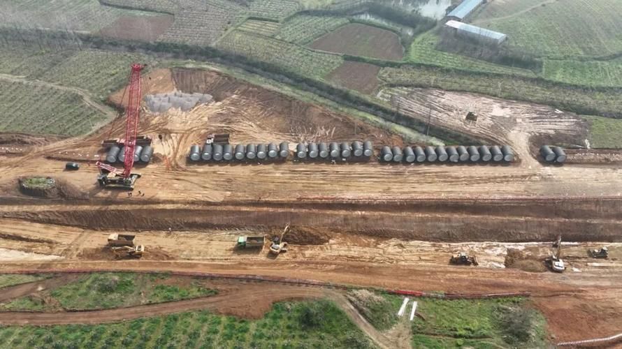 枣阳：鄂北交通枢纽的疫情防线与破防时刻