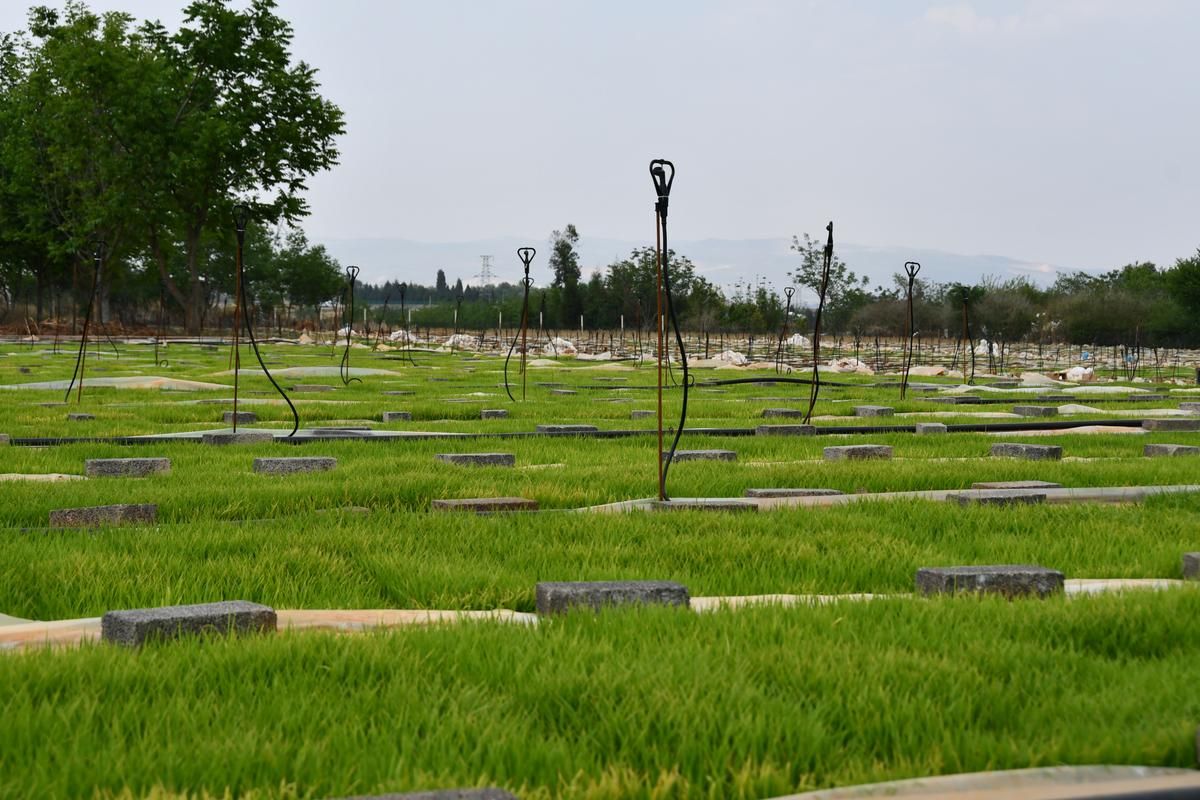 陆良坝子里的疫情孤岛：高原平坝如何构筑零感染防线