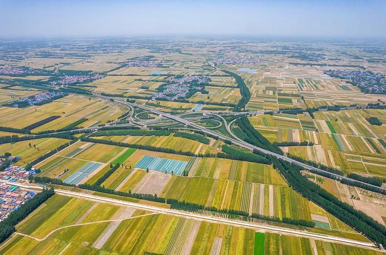 【项城：豫东平原交通枢纽的防疫压力测试】