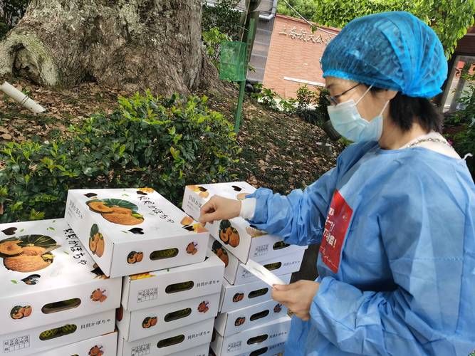 梨树县疫情观察：东北粮仓的零感染防线何以构筑？