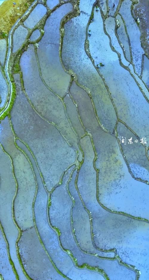 蕉城：山海屏障下的零感染坚守_57224