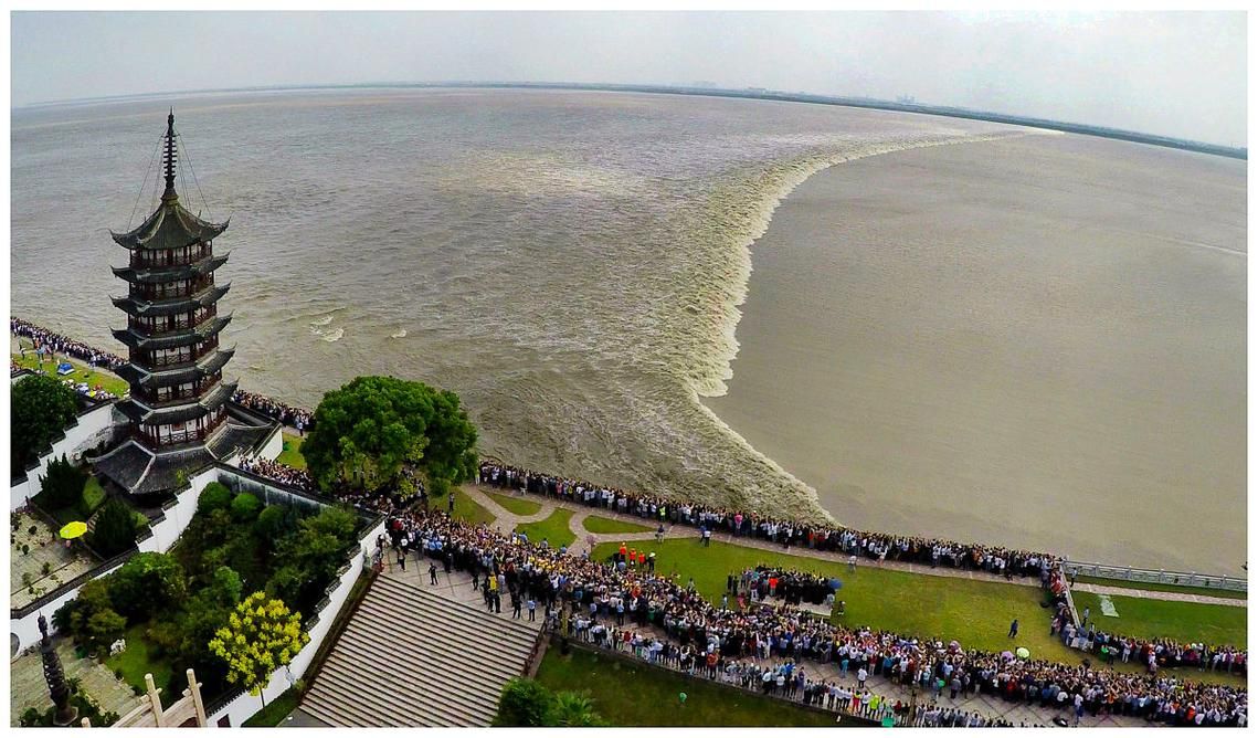 滨江：钱塘江畔的防疫阵地与流动挑战