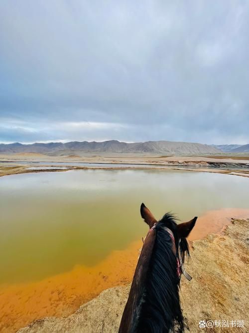 吉木萨尔：天山北麓的零感染防线何以铸成？