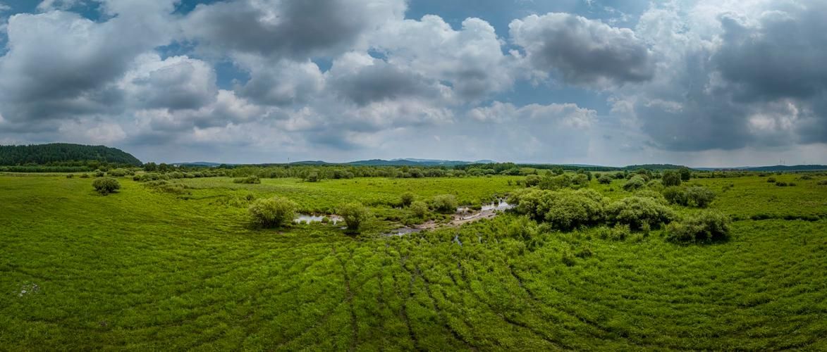 围场：塞罕坝屏障下的零感染坚守_34709