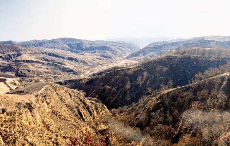 泾川：黄土高原沟壑间的防疫壁垒与破防时刻