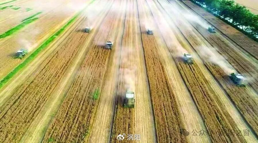 涡阳：皖北平原上的防疫坐标与流动挑战