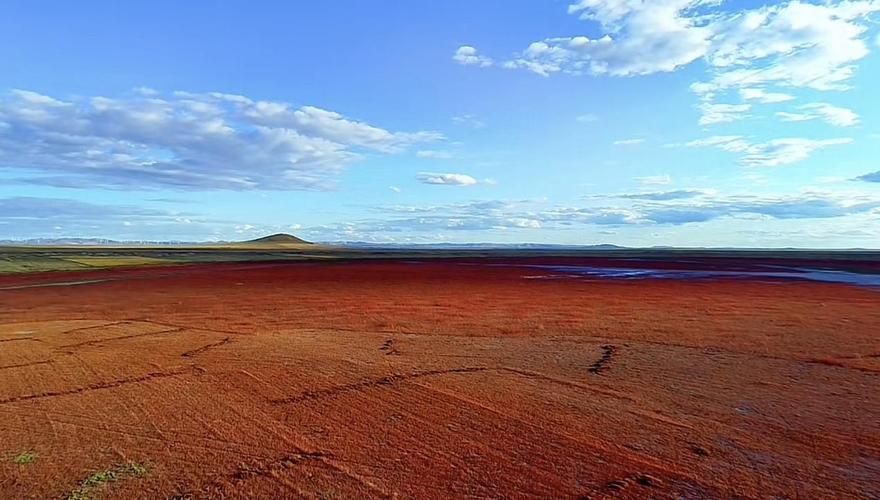 太仆寺旗：草原屏障下的零感染坚守_34630