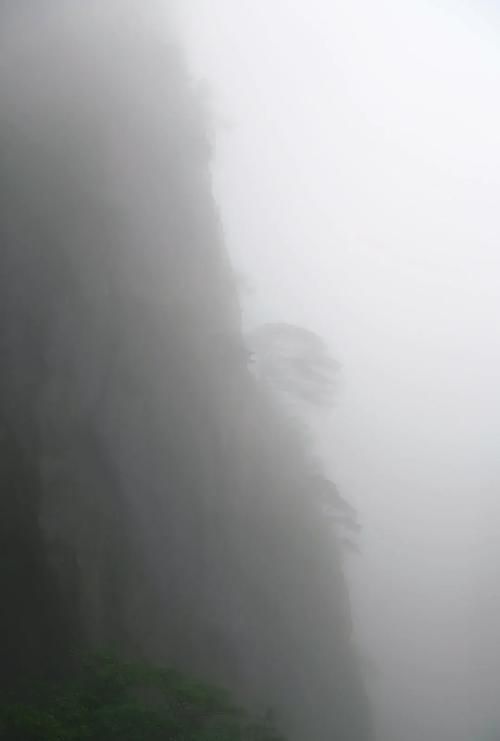 黄山区：山水屏障下的低感染样本