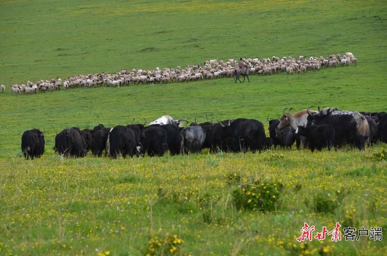 安远：赣南山区屏障下的低感染样本解析