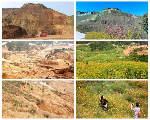 翁源：粤北生态屏障下的低感染率样本观察